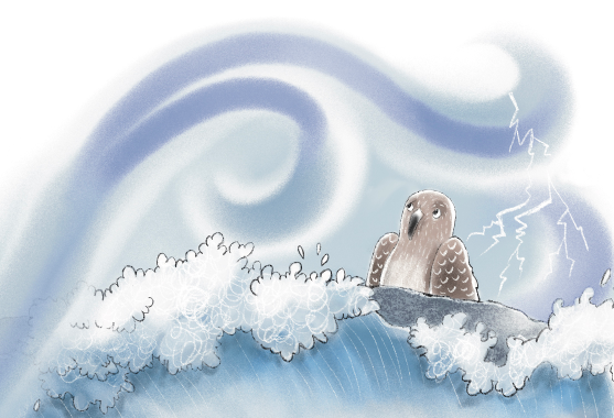 The Seabird